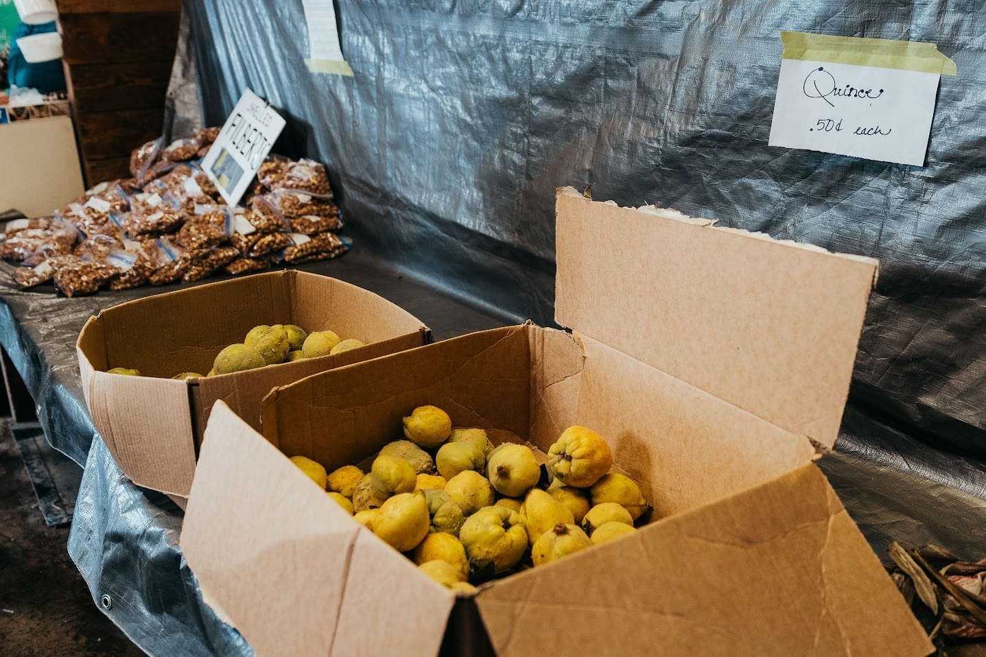 Bulk kraut sales — photo 2